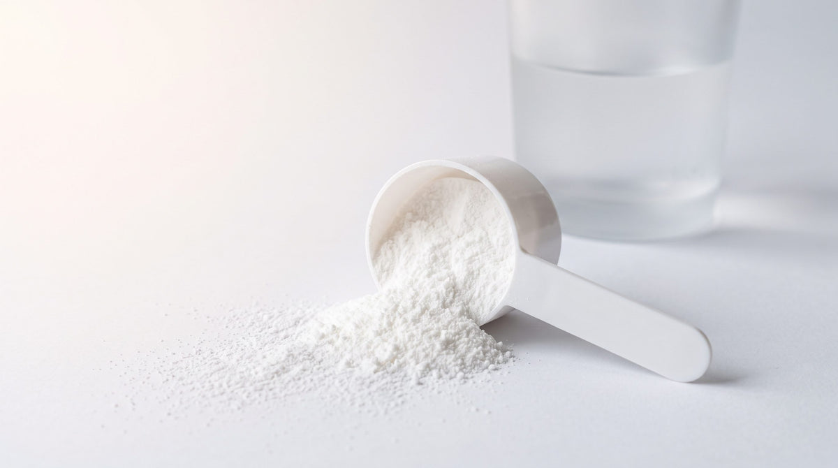A white measuring scoop heaped with unflavoured creatine monohydrate powder on a paper-white ground beside a plain glass of water
