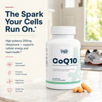 CoQ10 200mg Ubiquinone — High-Potency Once-Daily Capsules · 30 Count