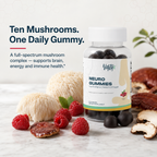 Neuro Gummies — Mushroom Extract Complex with Lion's Mane, Reishi, Cordyceps & Chaga · 60 Raspberry Gummies