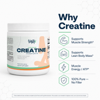Creatine Monohydrate 100% Pure Vantyx — 5g per Scoop · 250g (50 Servings) · Unflavored