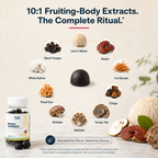 Neuro Gummies — Mushroom Extract Complex with Lion's Mane, Reishi, Cordyceps & Chaga · 60 Raspberry Gummies