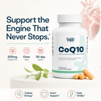 CoQ10 200mg Ubiquinone — High-Potency Once-Daily Capsules · 30 Count