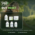VANTYX GUT RESET