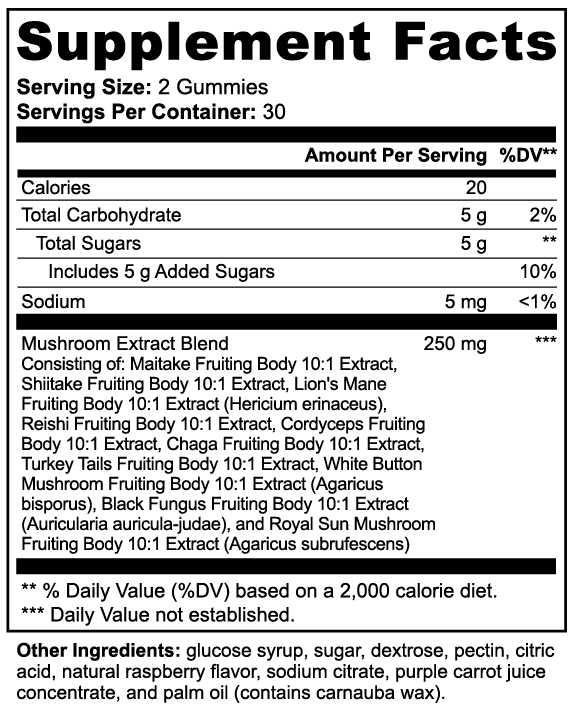 Neuro Gummies — Mushroom Extract Complex with Lion's Mane, Reishi, Cordyceps & Chaga · 60 Raspberry Gummies