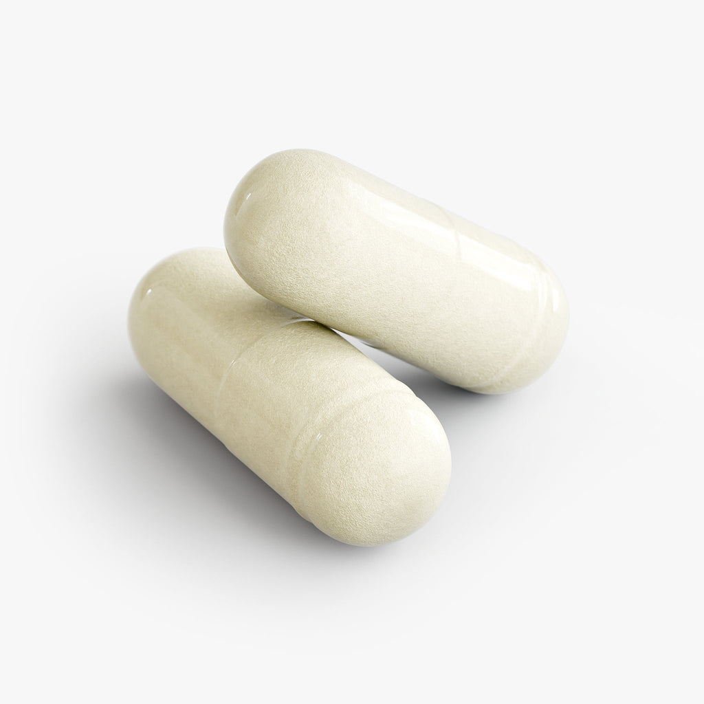 Mezcla profesional de enzimas digestivas — Makzyme-Pro + Lactobacillus + Bromelina + Papaína · 60 Cápsulas